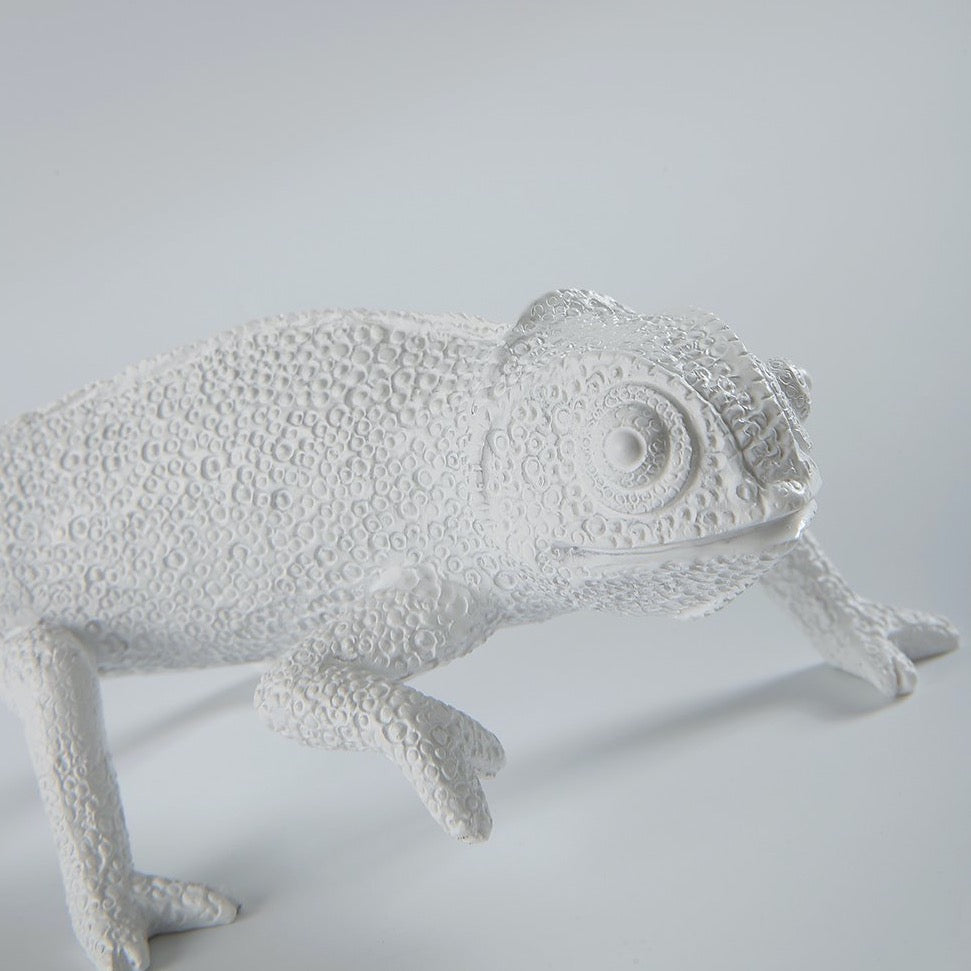 Little Lizard Lamp