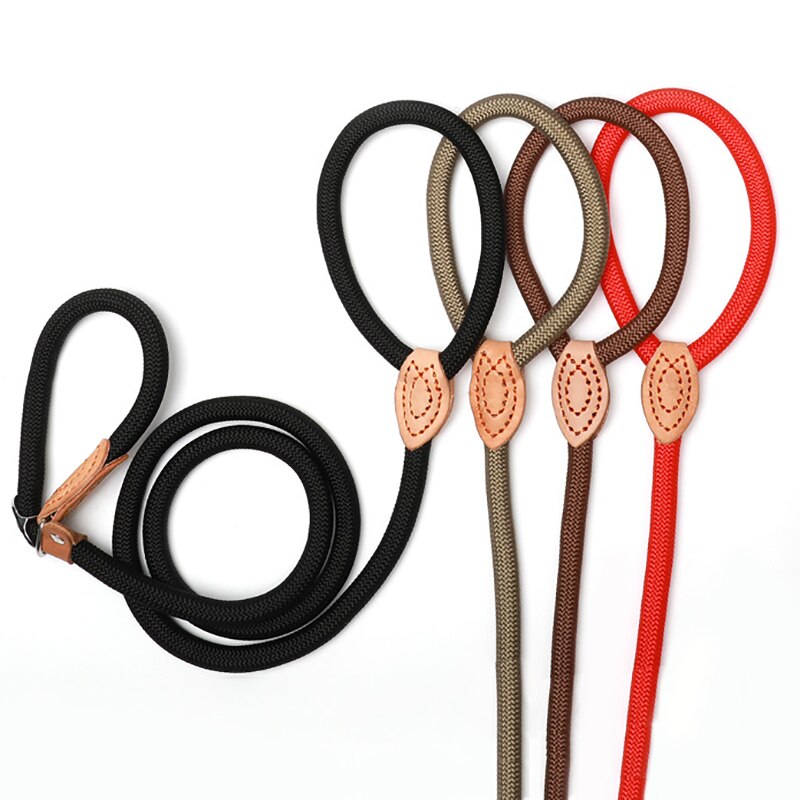 Heavy duty braided rope dog leash
