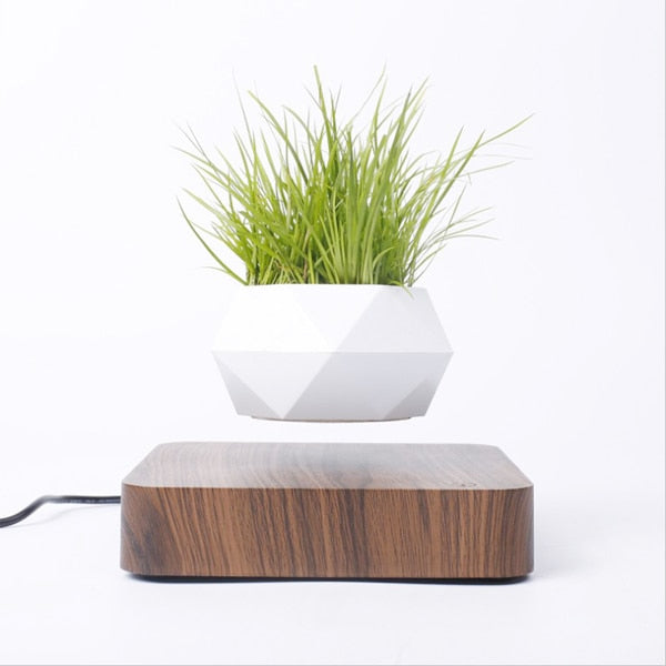 Magnetic Levitating Planter