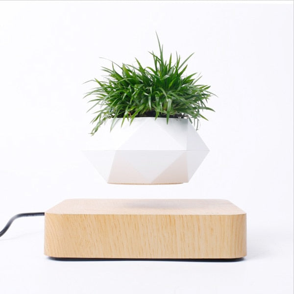 Magnetic Levitating Planter