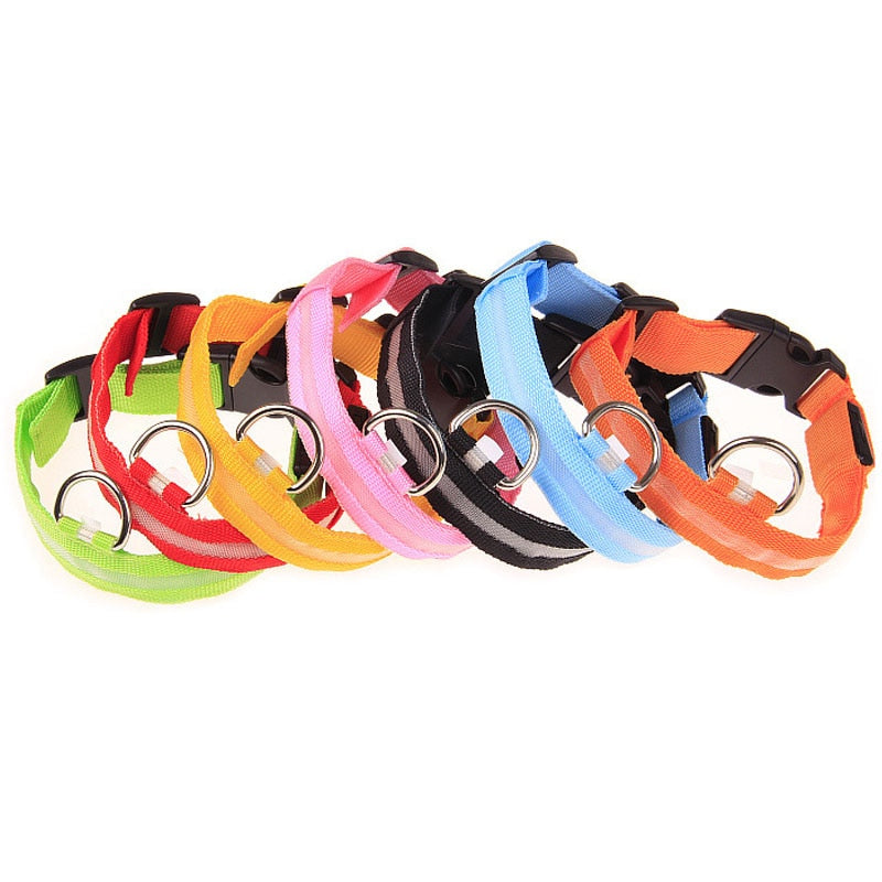 Collar de perro de seguridad LED recargable