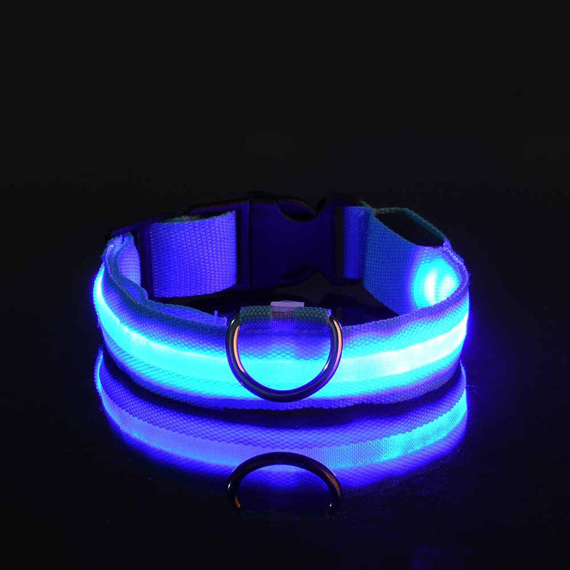 Collar de perro de seguridad LED recargable