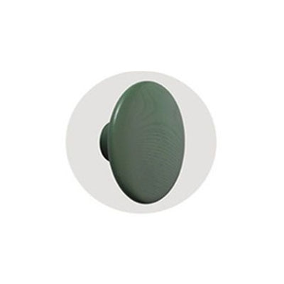 Ganchos de pared de madera de colores