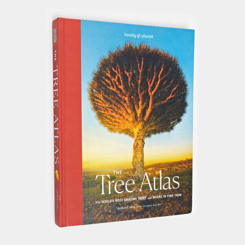 The Tree Atlas hardcover from Lonely Planet: a single tree with a vast glowing golden canopy on a deep blue cover with a red spine