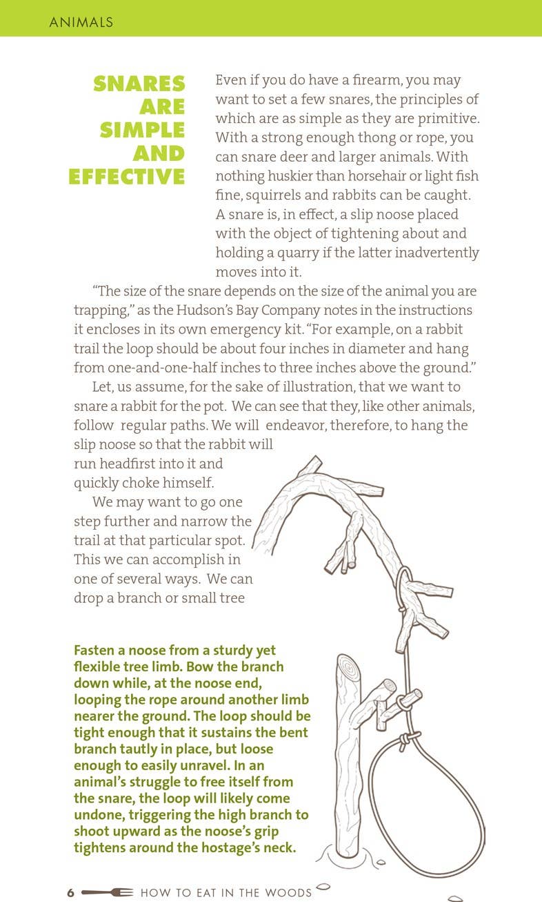 How to Eat in the Woods