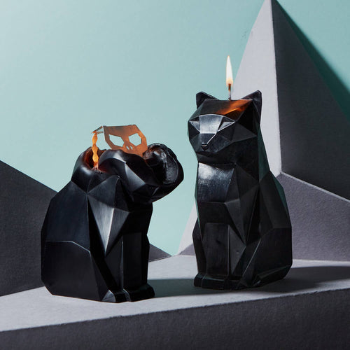 Two Kisa cat candles on a pale teal ground, one unlit and one burning with the skull showing
