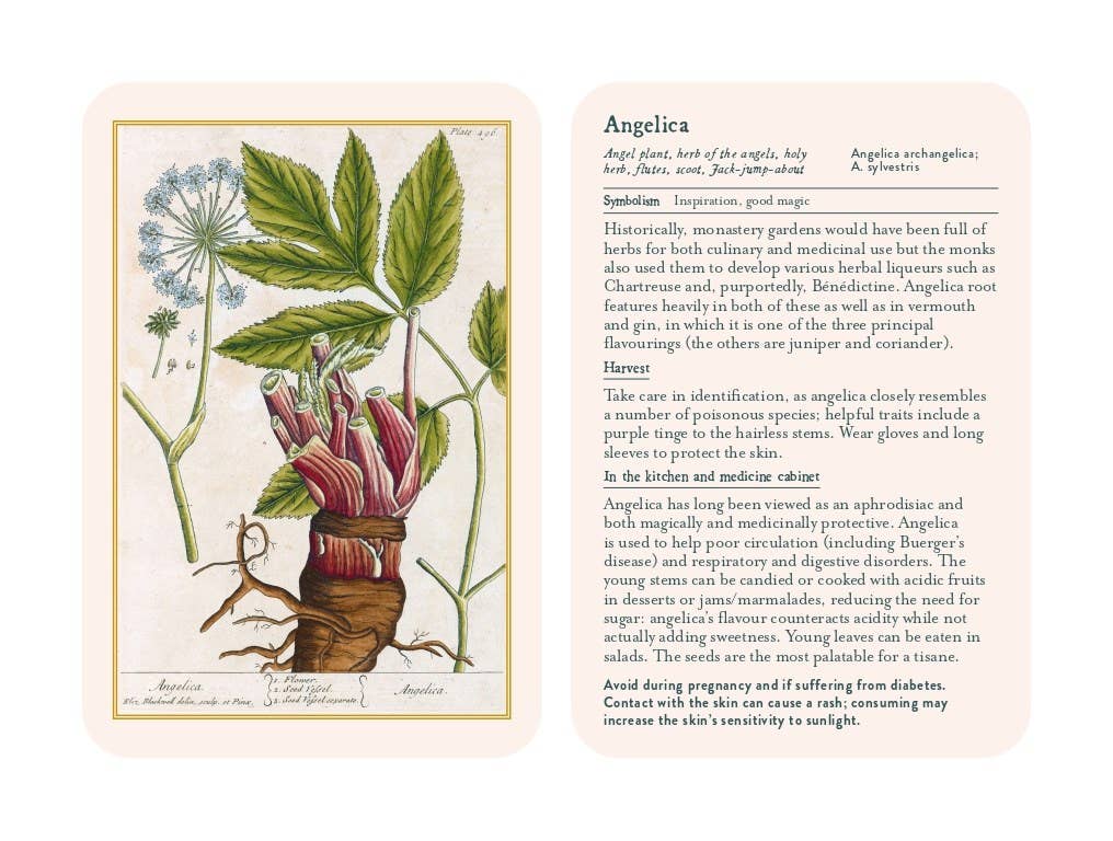 Healing Plants: A Botanical Card Deck