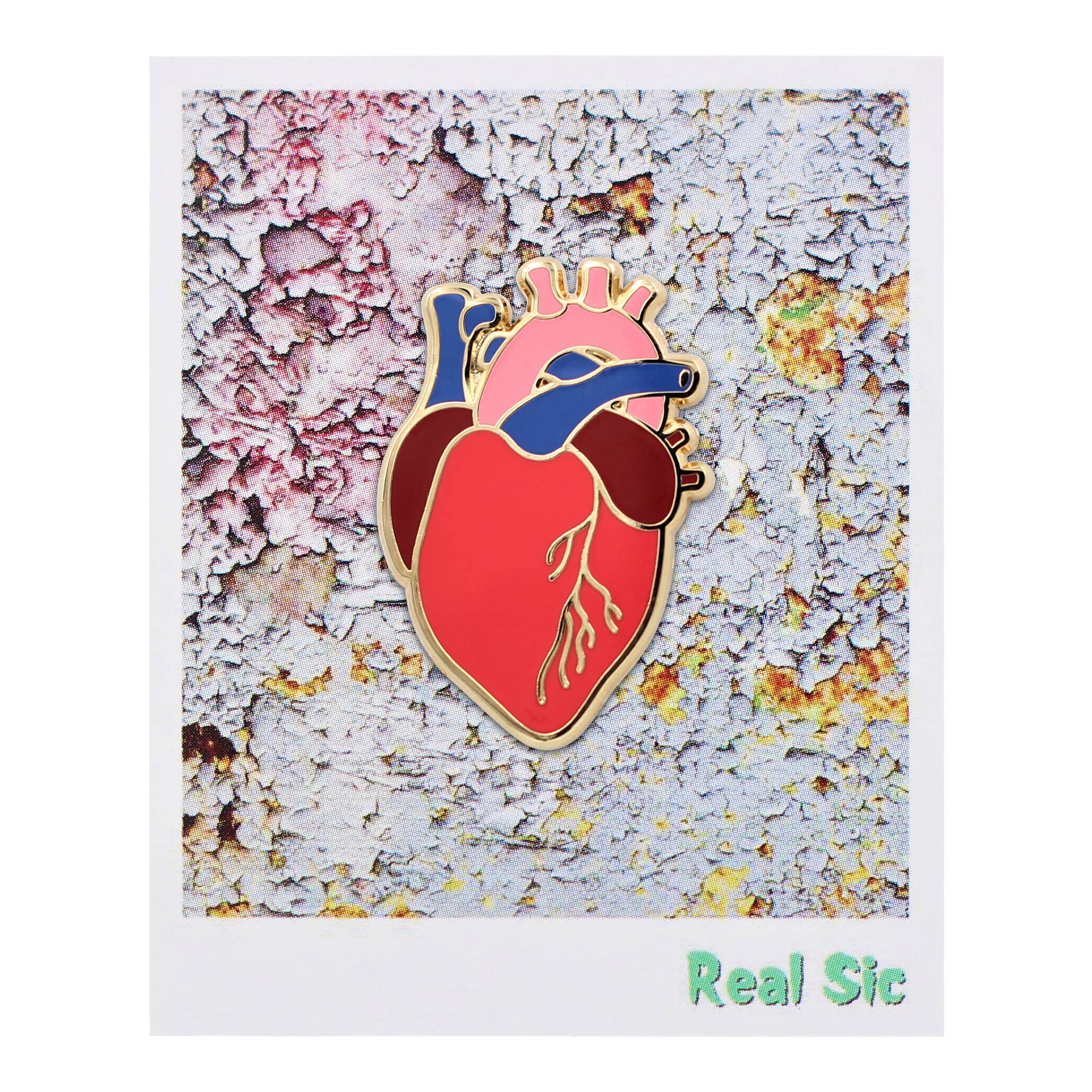 Anatomical Heart Enamel Pin, realistic scientific heart design, from Real Sic