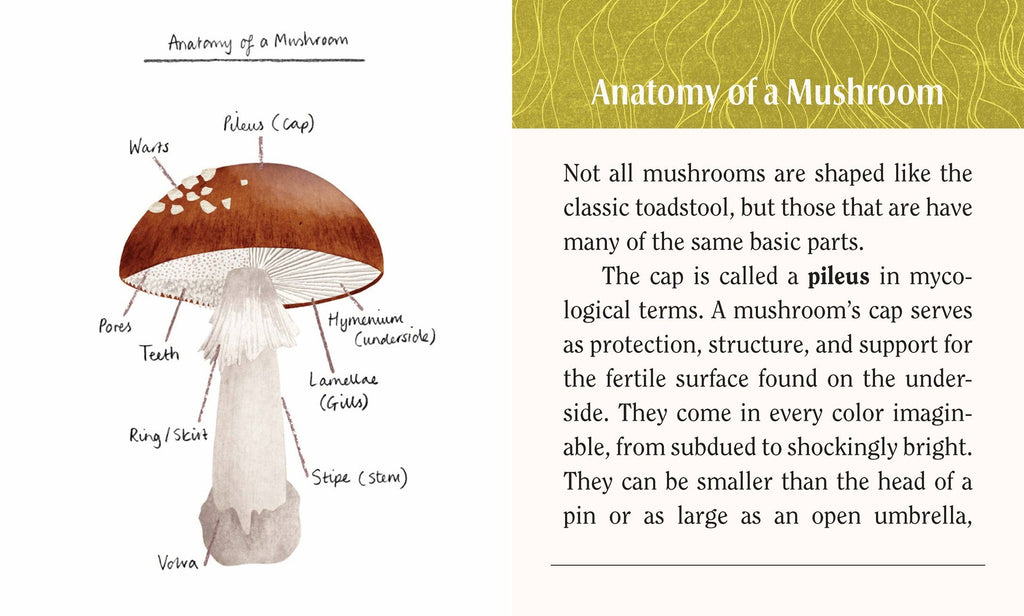 Mushrooms: A Wooden Magnet Set