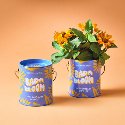 Complementary Color Grow Kits