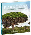 Rare Trees hardcover standing upright, a wide dragon tree with an umbrella canopy on the cover under a pale sky