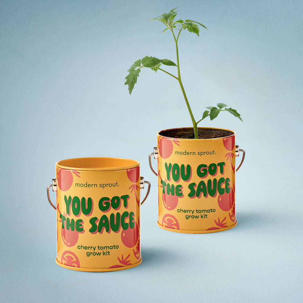 Complementary Color Grow Kits