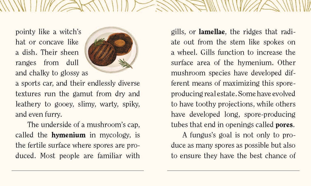Mushrooms: A Wooden Magnet Set