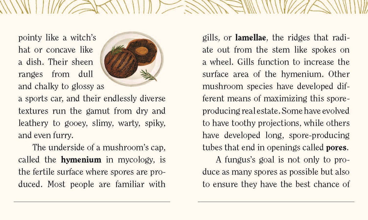 Mushrooms: A Wooden Magnet Set