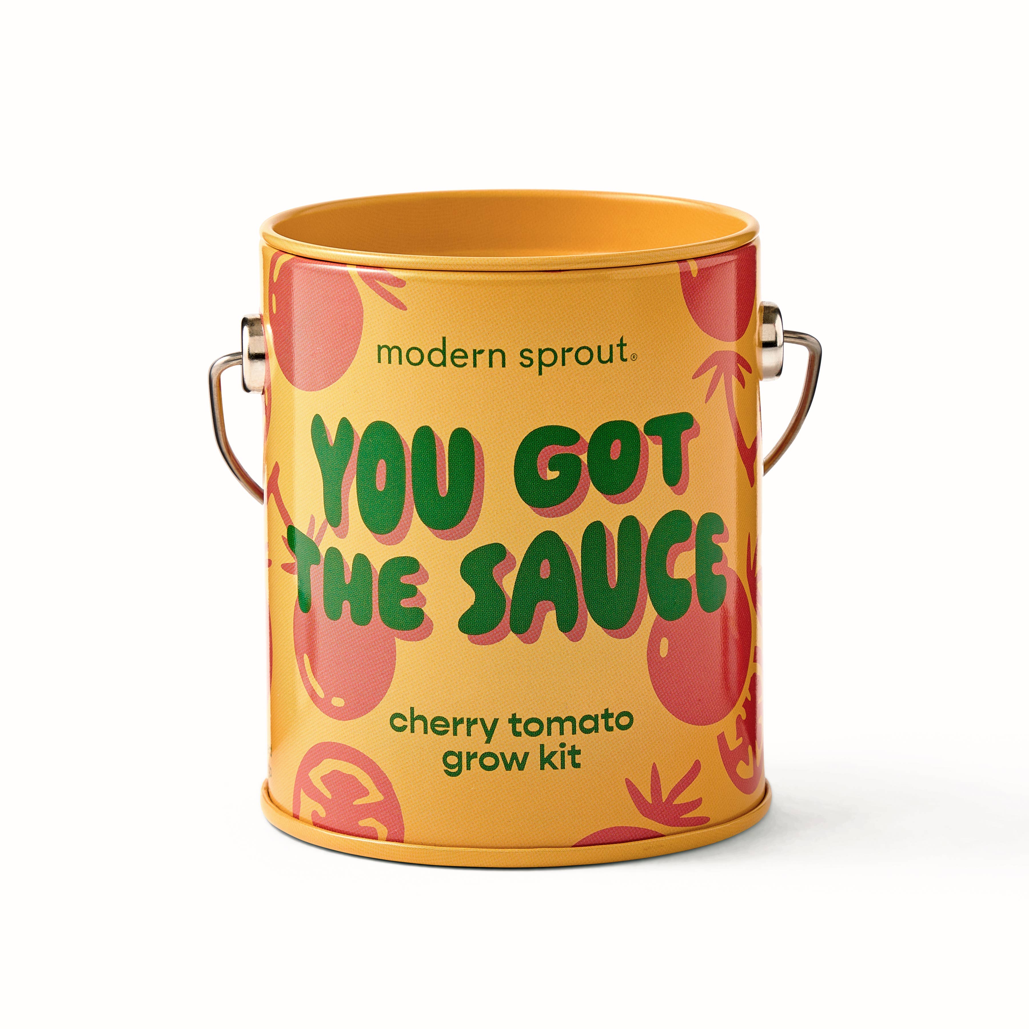 Complementary Color Grow Kit, seed starting gift set, from Modern Sprout