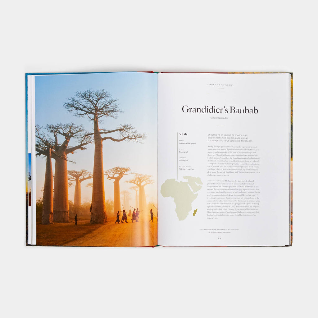 The Tree Atlas