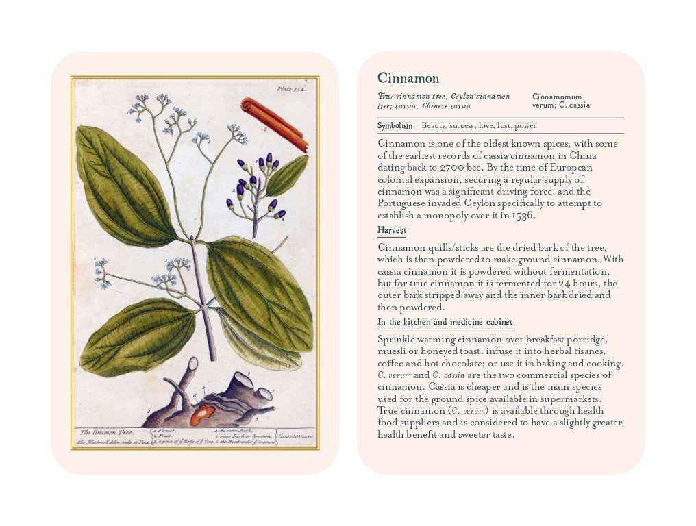 Healing Plants: A Botanical Card Deck