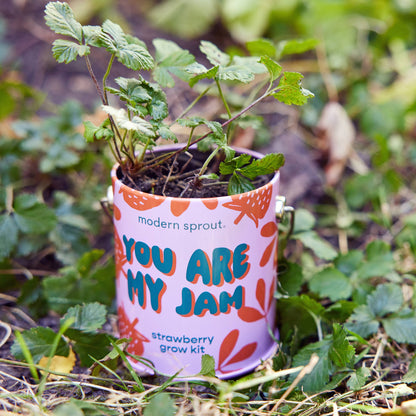 Complementary Color Grow Kits
