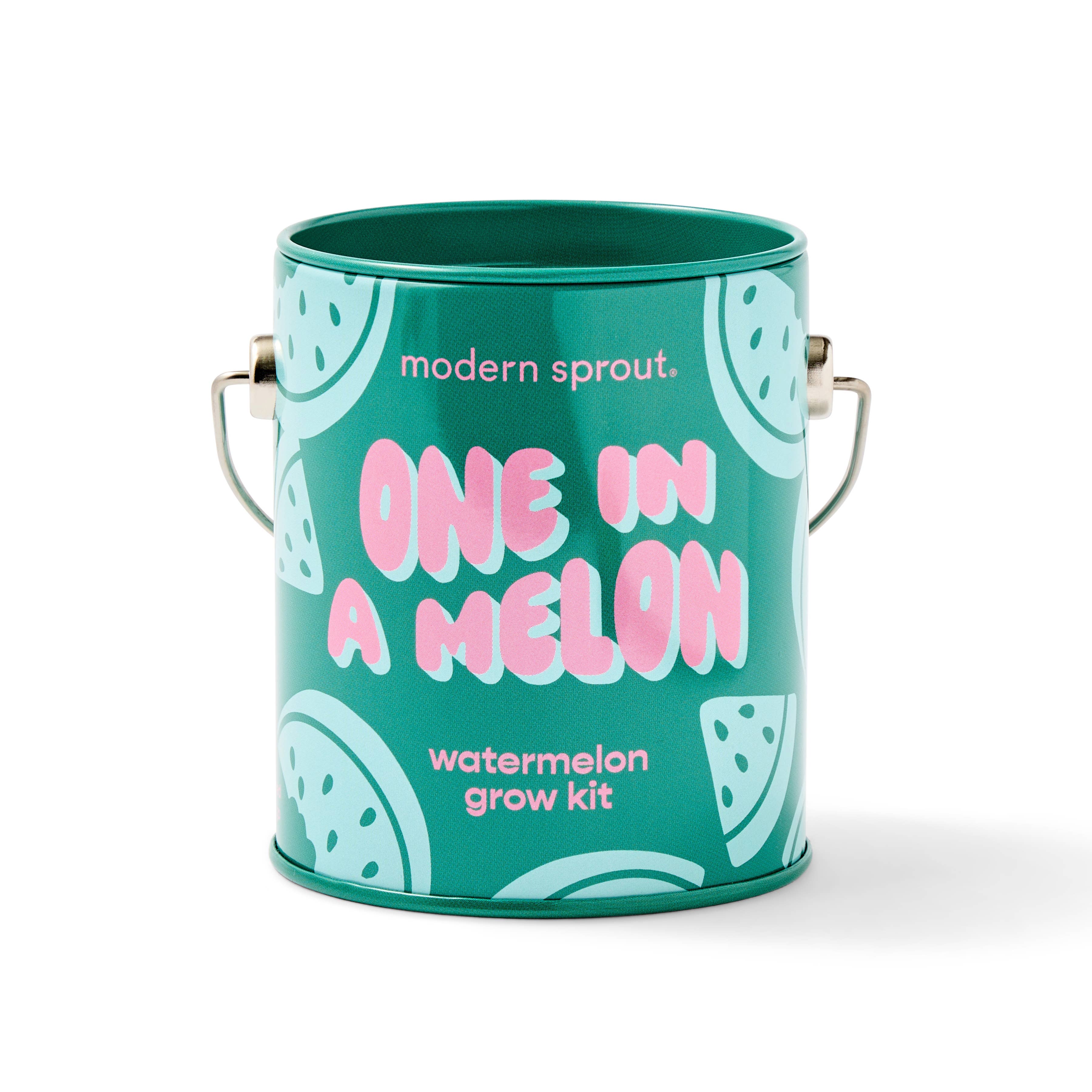 Complementary Color Grow Kit, seed starting gift set, from Modern Sprout
