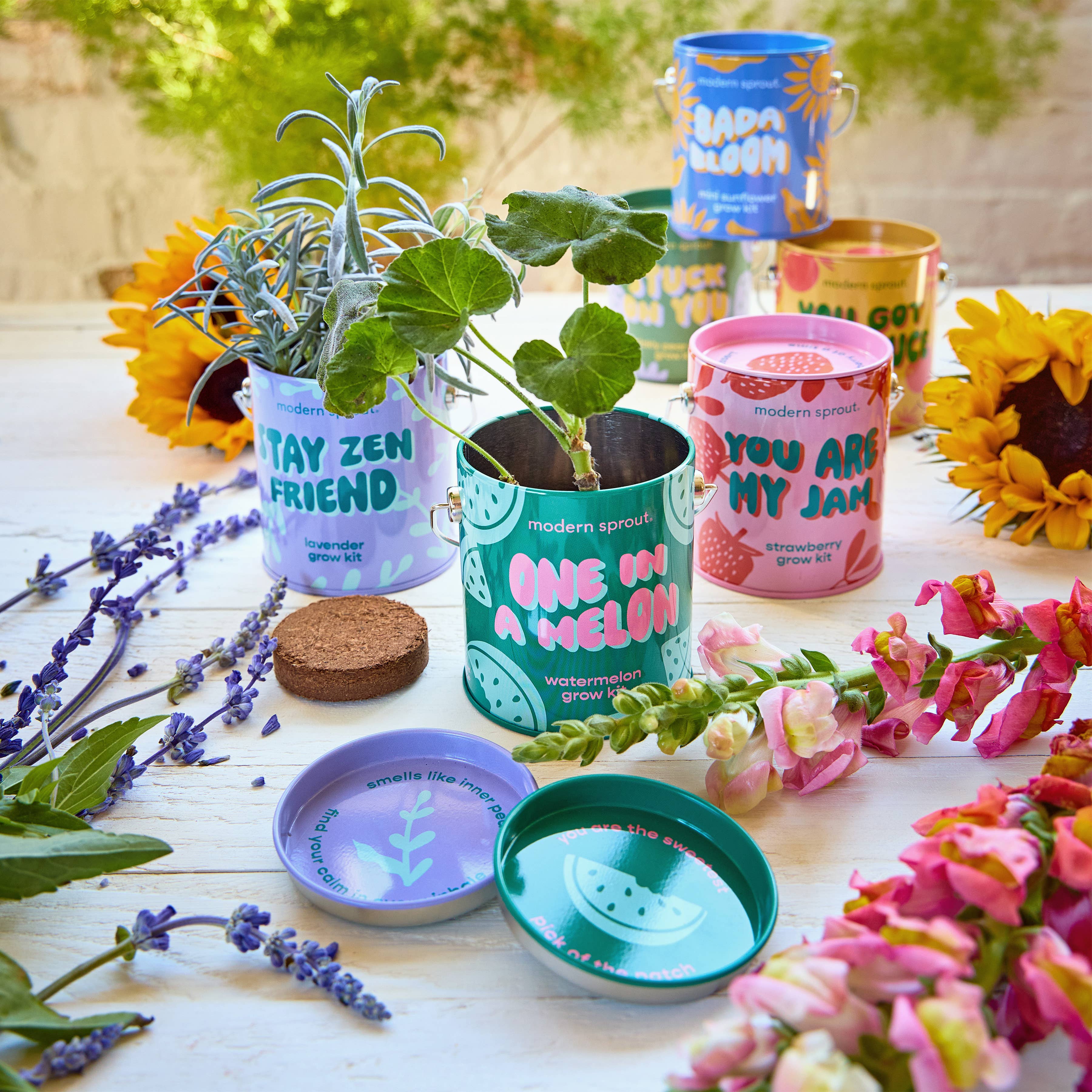 Complementary Color Grow Kits