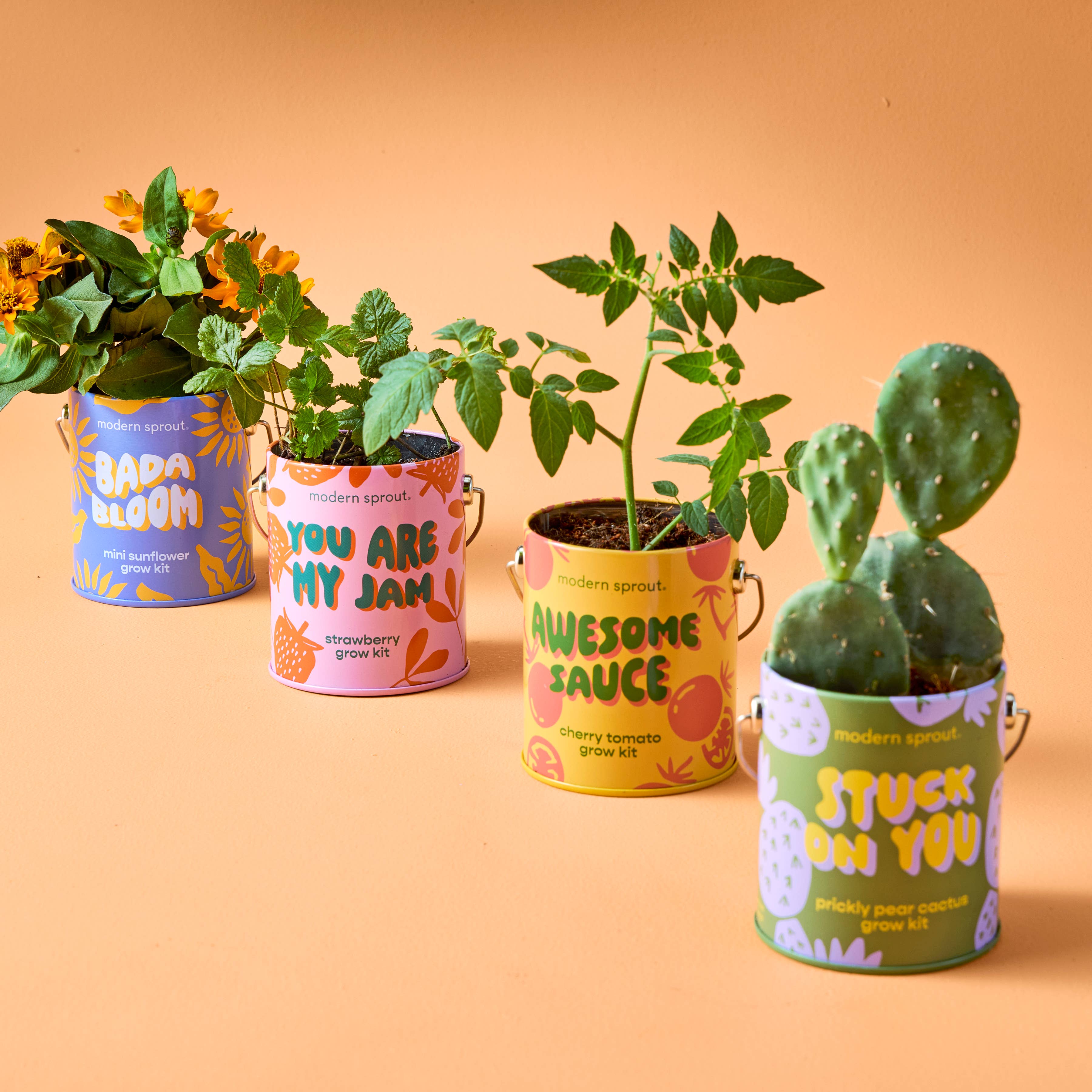Complementary Color Grow Kits
