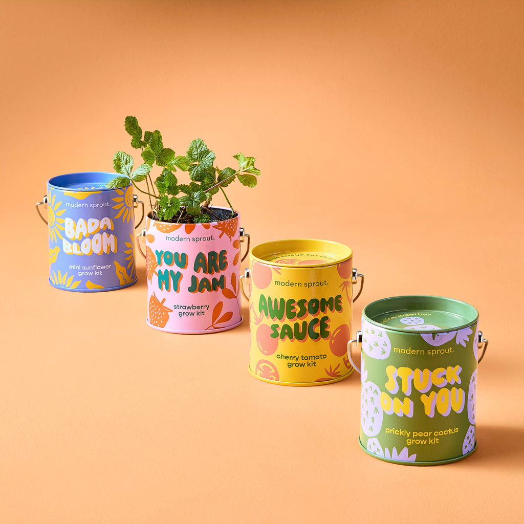 Complementary Color Grow Kits