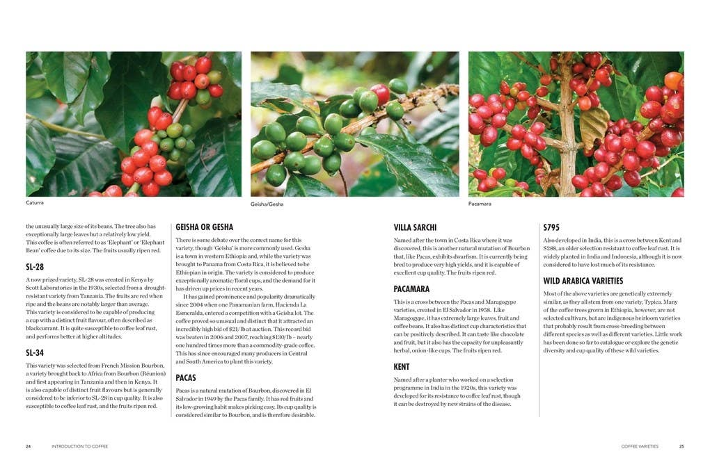 The World Atlas of Coffee, 3rd Edition