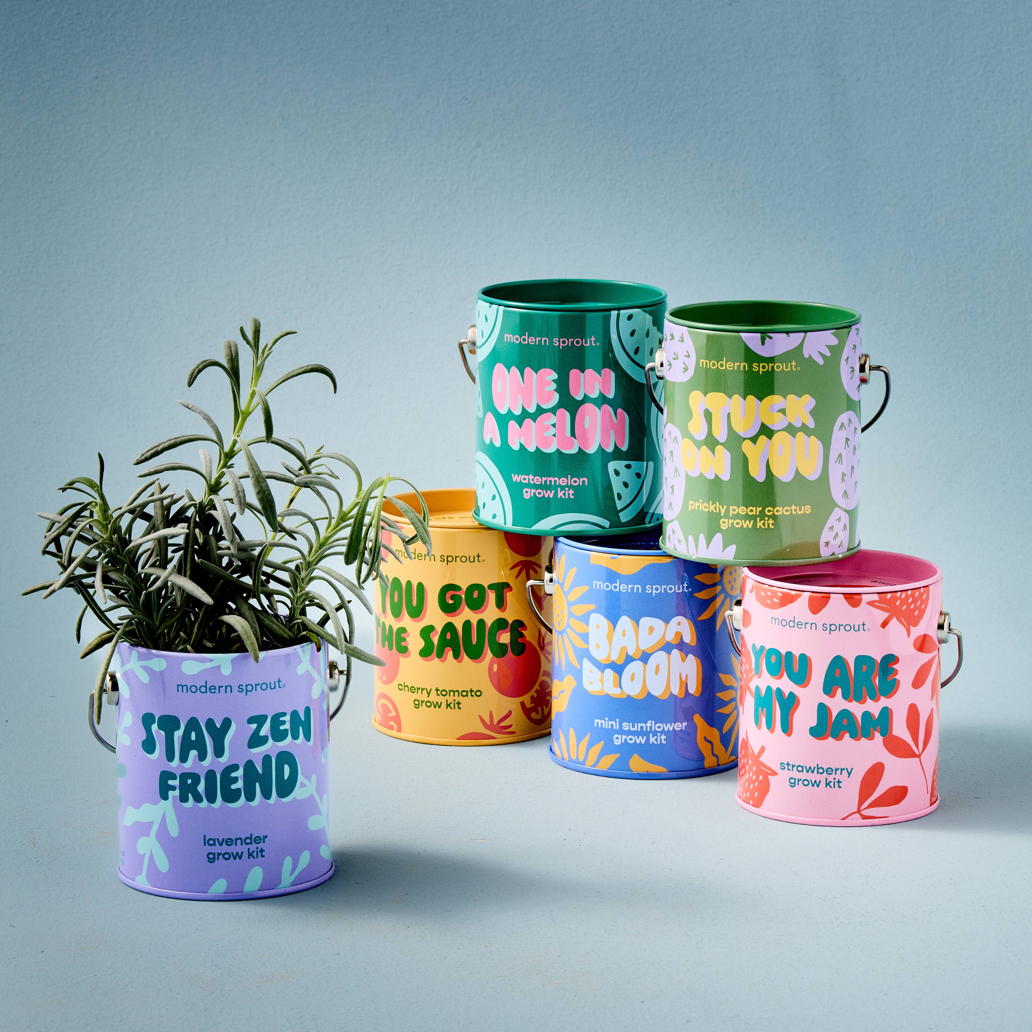 Complementary Color Grow Kit, seed starting gift set, from Modern Sprout