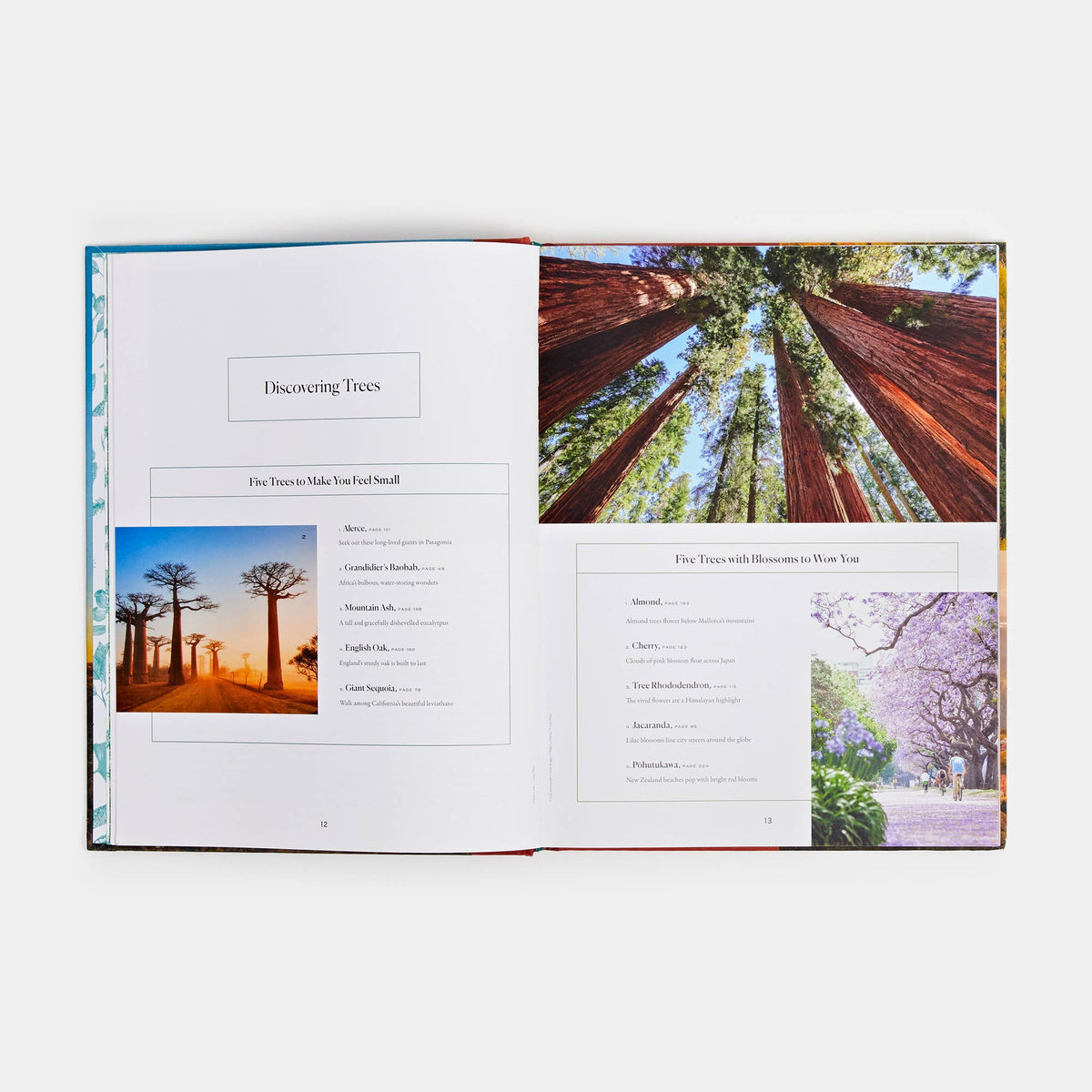The Tree Atlas