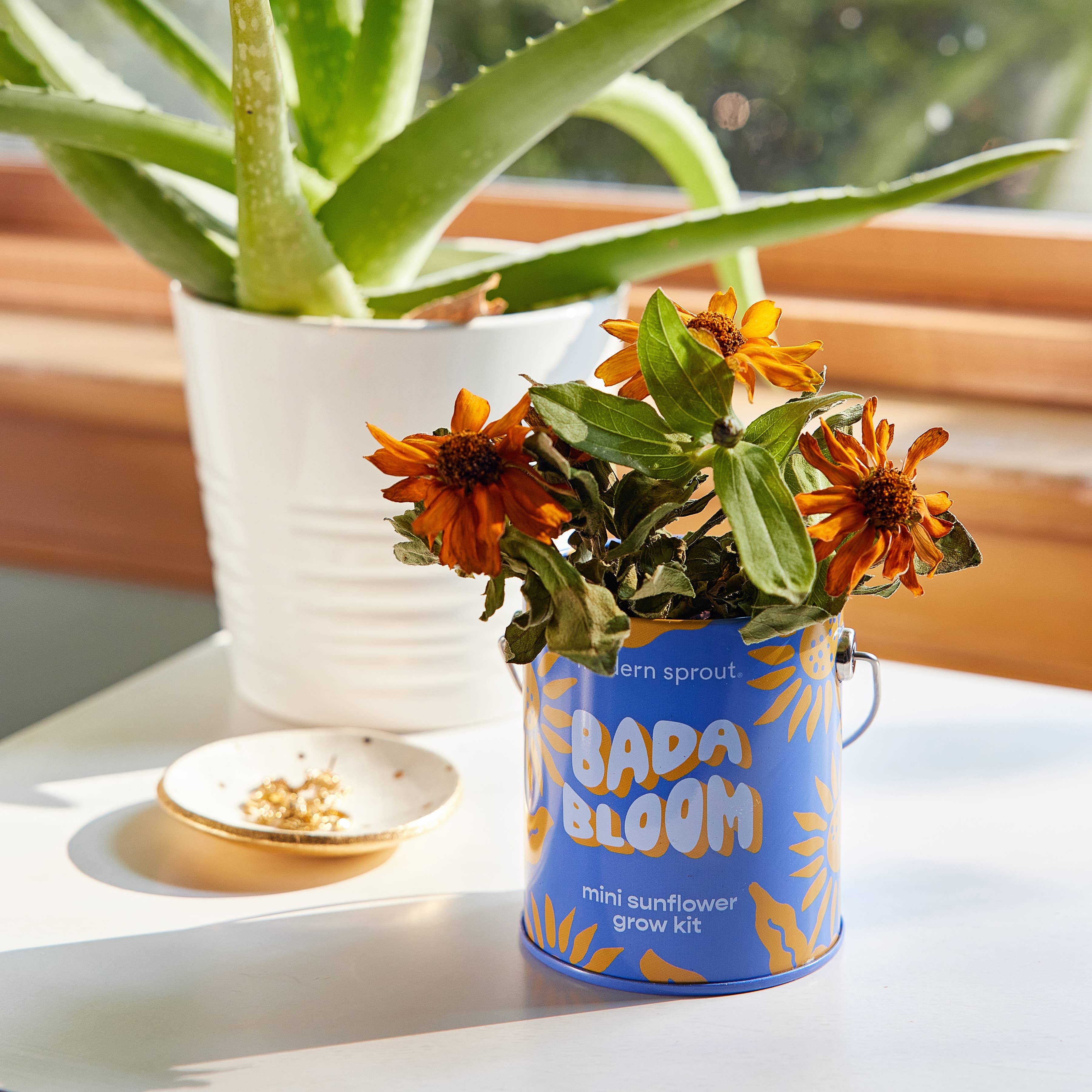 Complementary Color Grow Kits