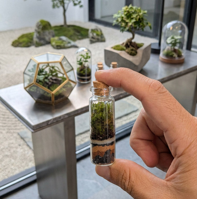 Pocket Terrarium / Self Sustaining Miniature Ecosystem