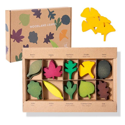 Wooden Leaf Toy Set