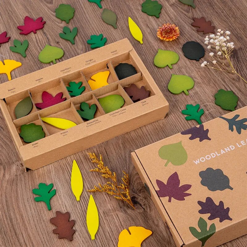 Wooden Leaf Toy Set