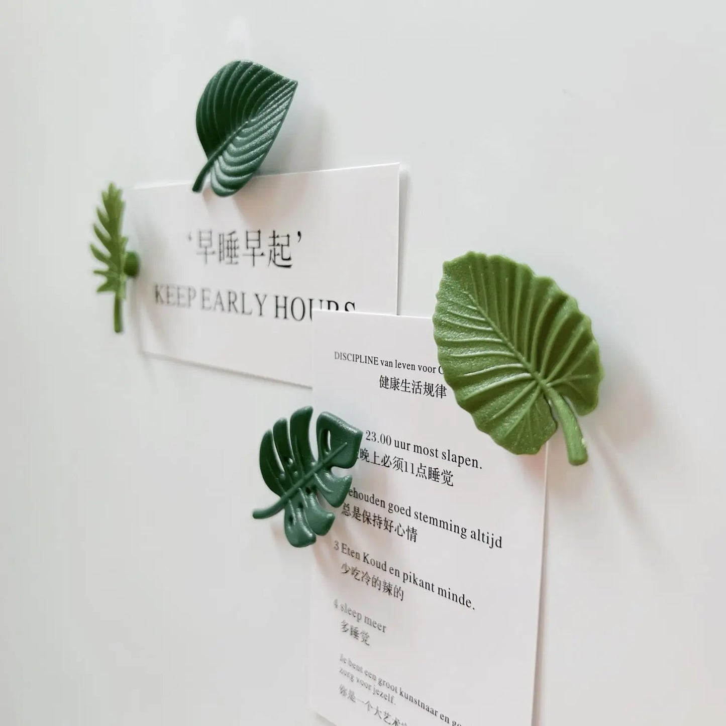 Tropical foliage fridge magnets