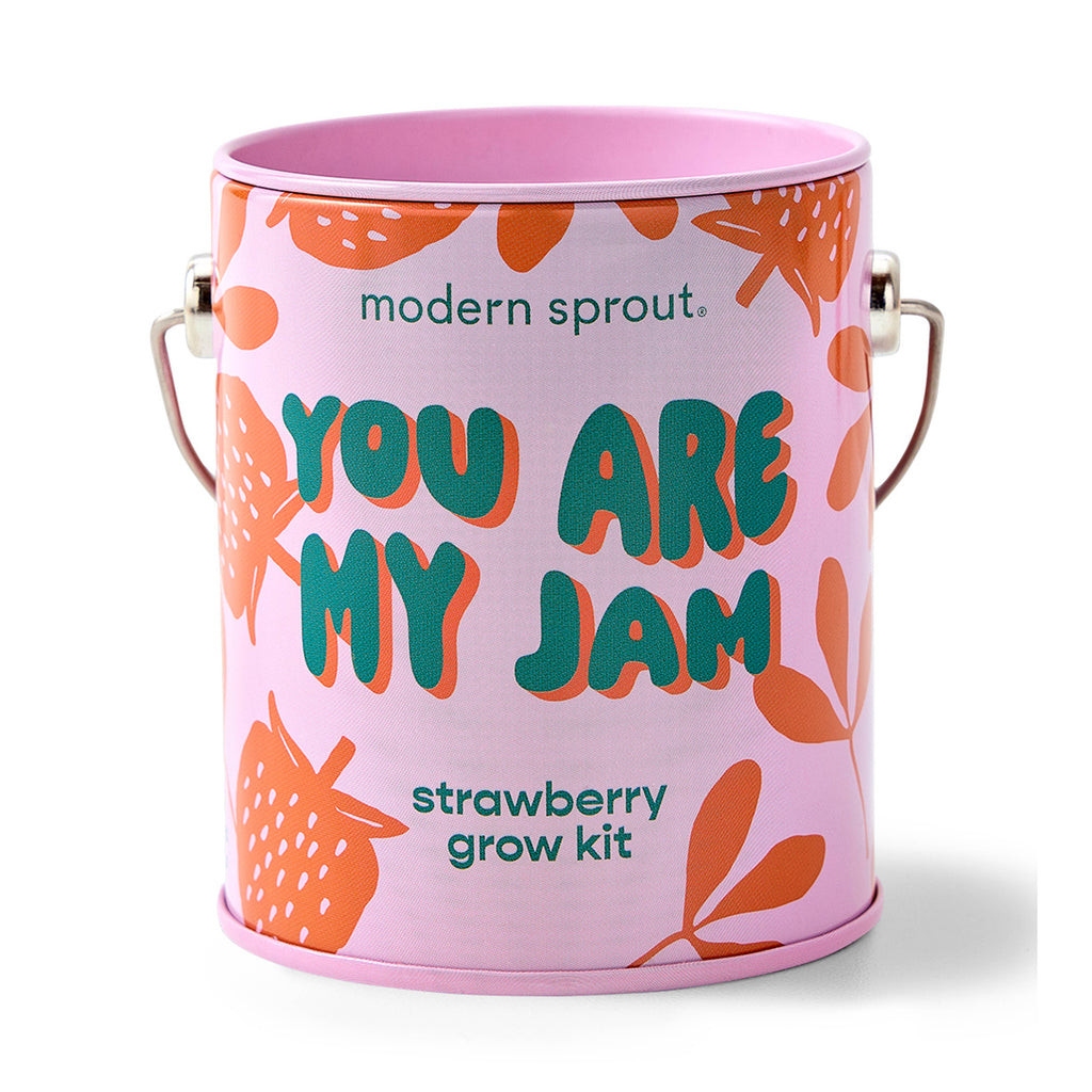 Complementary Color Grow Kit, seed starting gift set, from Modern Sprout