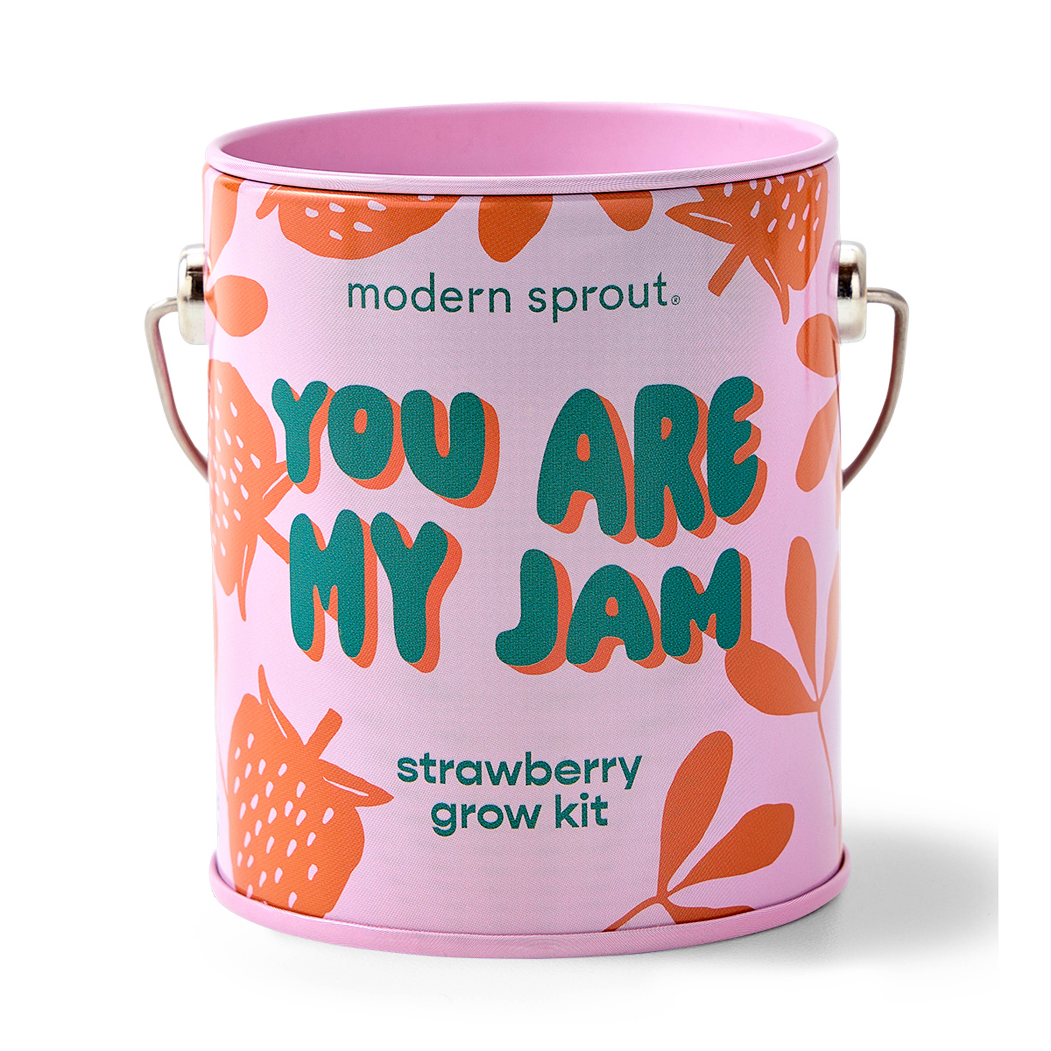 Complementary Color Grow Kit, seed starting gift set, from Modern Sprout