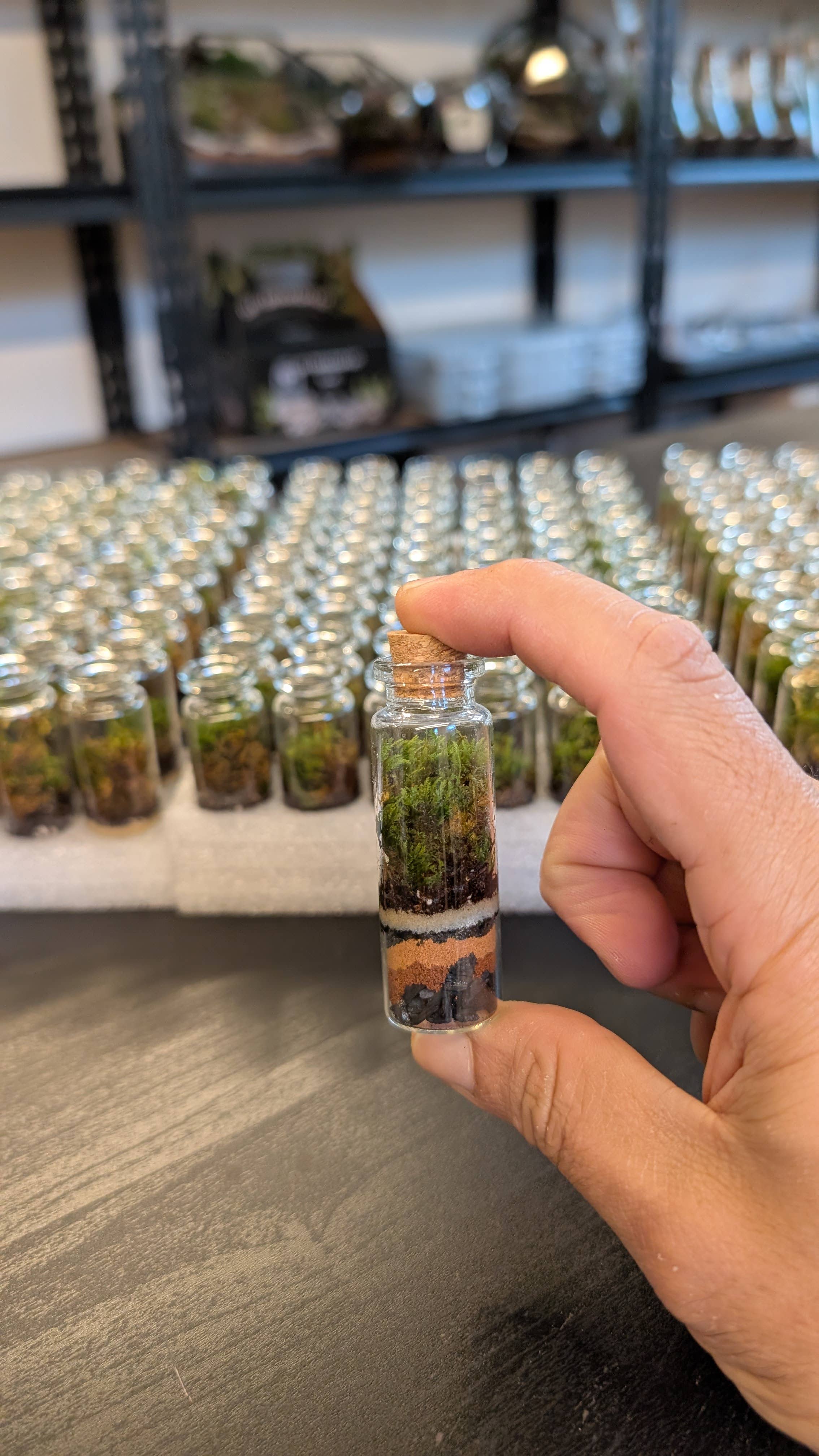 Pocket Terrarium, self sustaining miniature moss ecosystem, from TERRART NYC