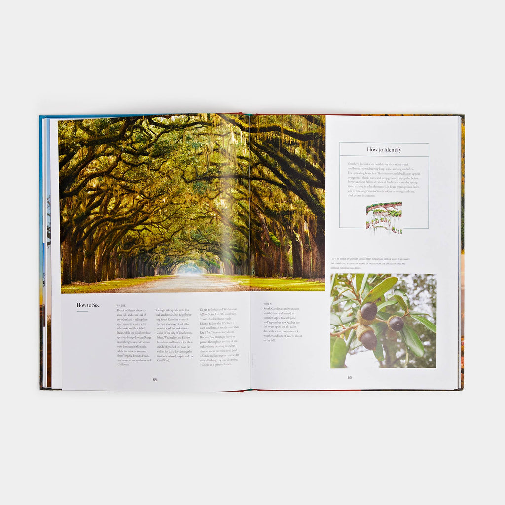 The Tree Atlas