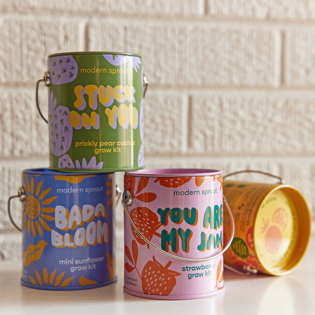 Complementary Color Grow Kits