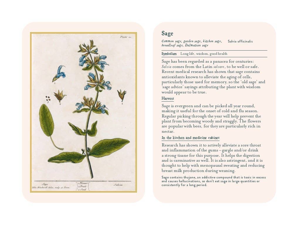 Healing Plants: A Botanical Card Deck