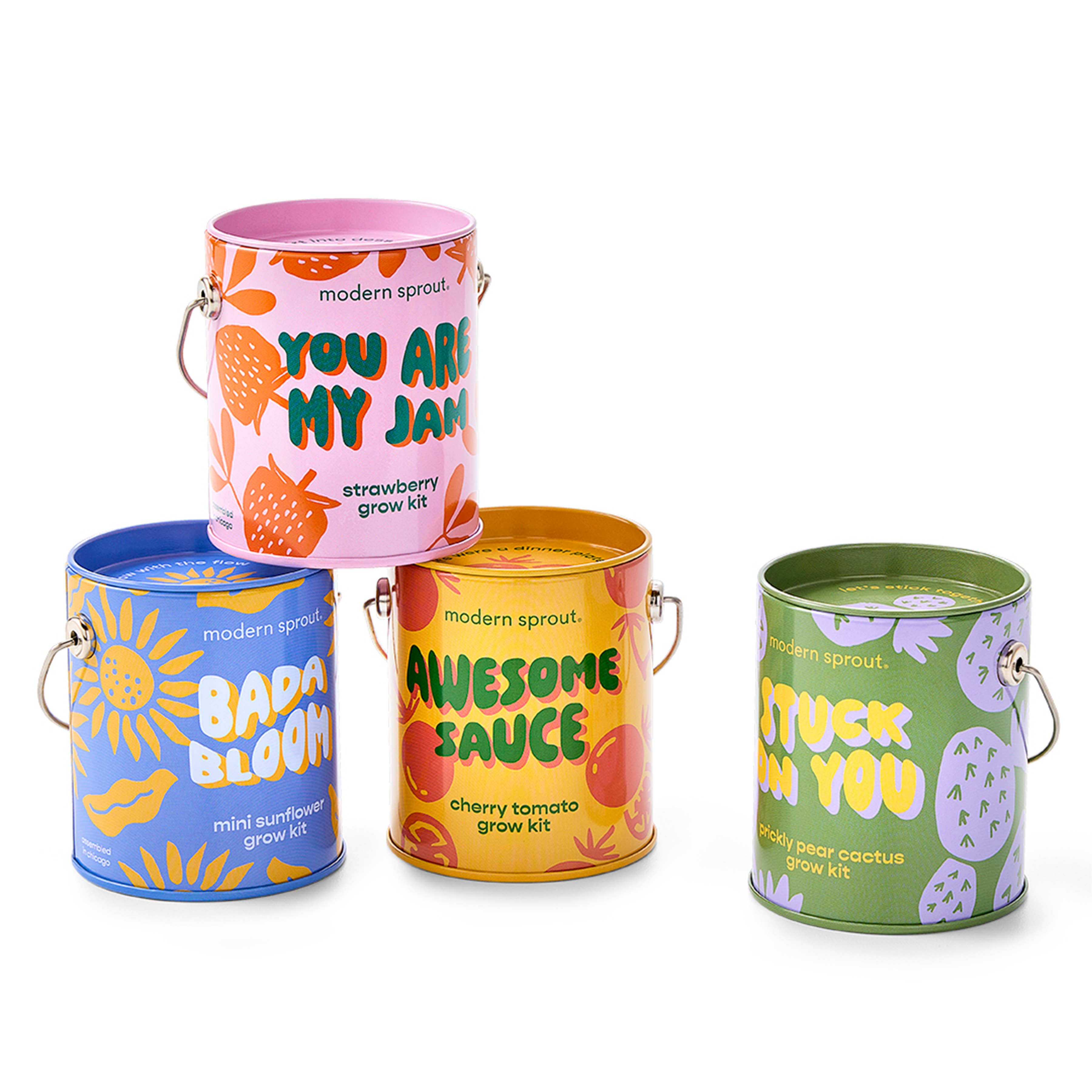 Complementary Color Grow Kits