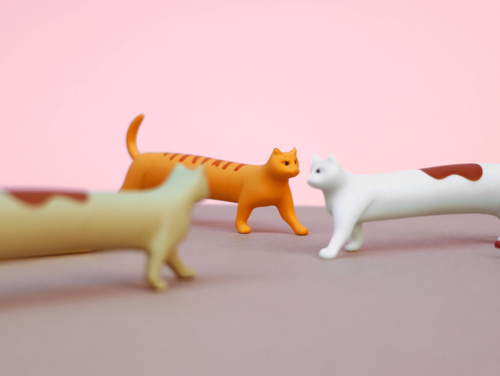 Cat Erasers, Set of 3