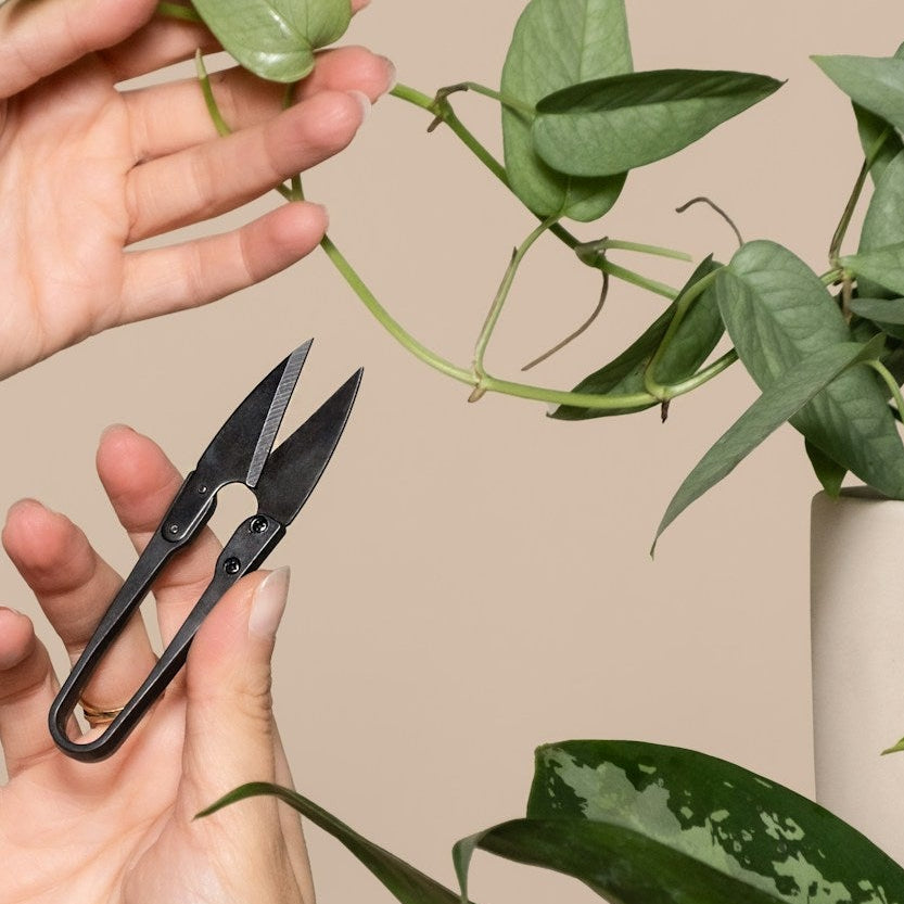 U-Shaped Minimalist Scissors
