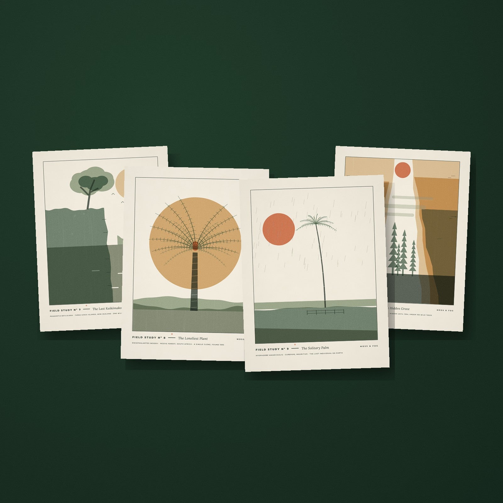 Field Studies Vol. III: The Rare Ones, four letterpress style art prints of the world's rarest trees fanned on a deep green background