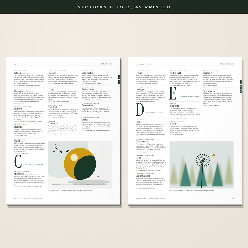 Two interior pages of How to Look, sections B to D, with the Chiaroscuro and Depth of Field figures spanning two columns, running heads, drop letters and thumb tabs