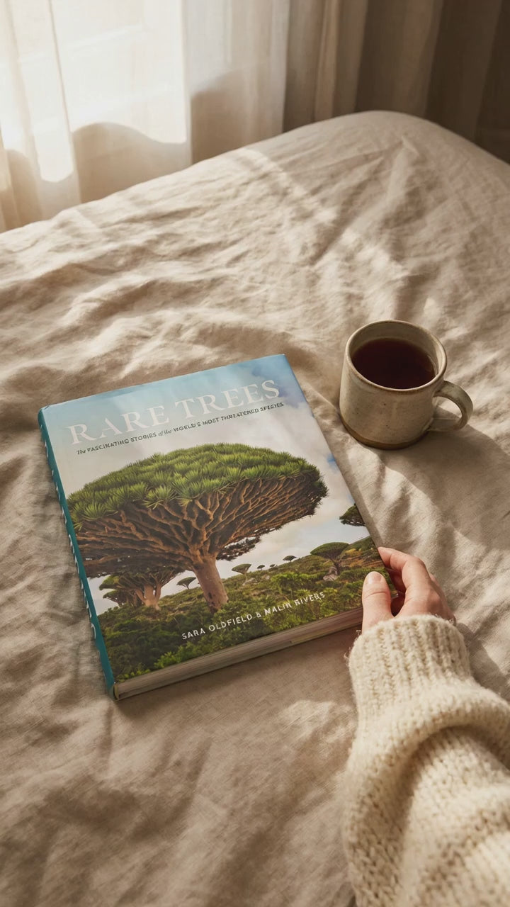 Rare Trees hardcover on a linen bed with a mug of tea, short video