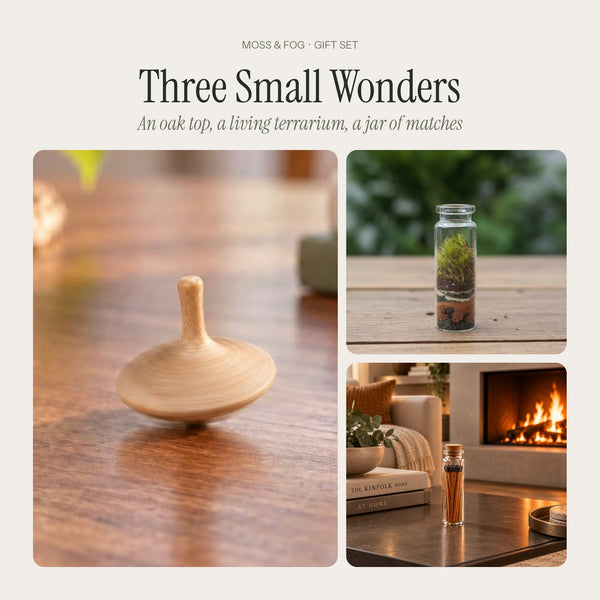 Three Small Wonders gift from Moss & Fog: a hand-carved oak spinning top, a living pocket terrarium and a jar of safety matches