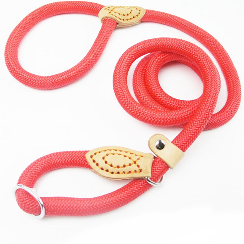 Heavy duty braided rope dog leash