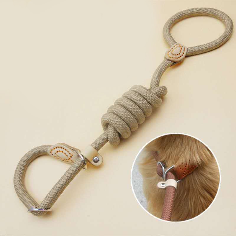 Heavy duty braided rope dog leash