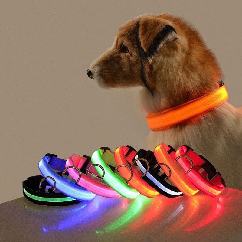 Collar de perro de seguridad LED recargable
